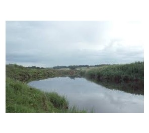 River Ribble : Skirbeck - Bradford City Angling Association River Ribble : Skirbeck - Bradford City Angling Association