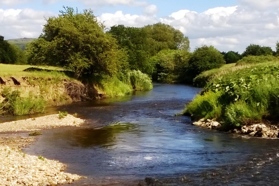 River Aire - Kildwick to Steeton - Bradford City Angling Association