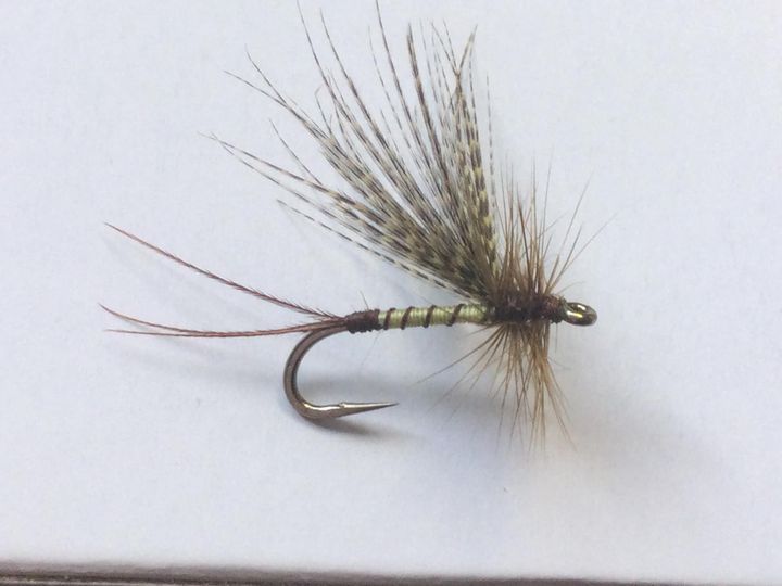 Mayfly dry fly pattern