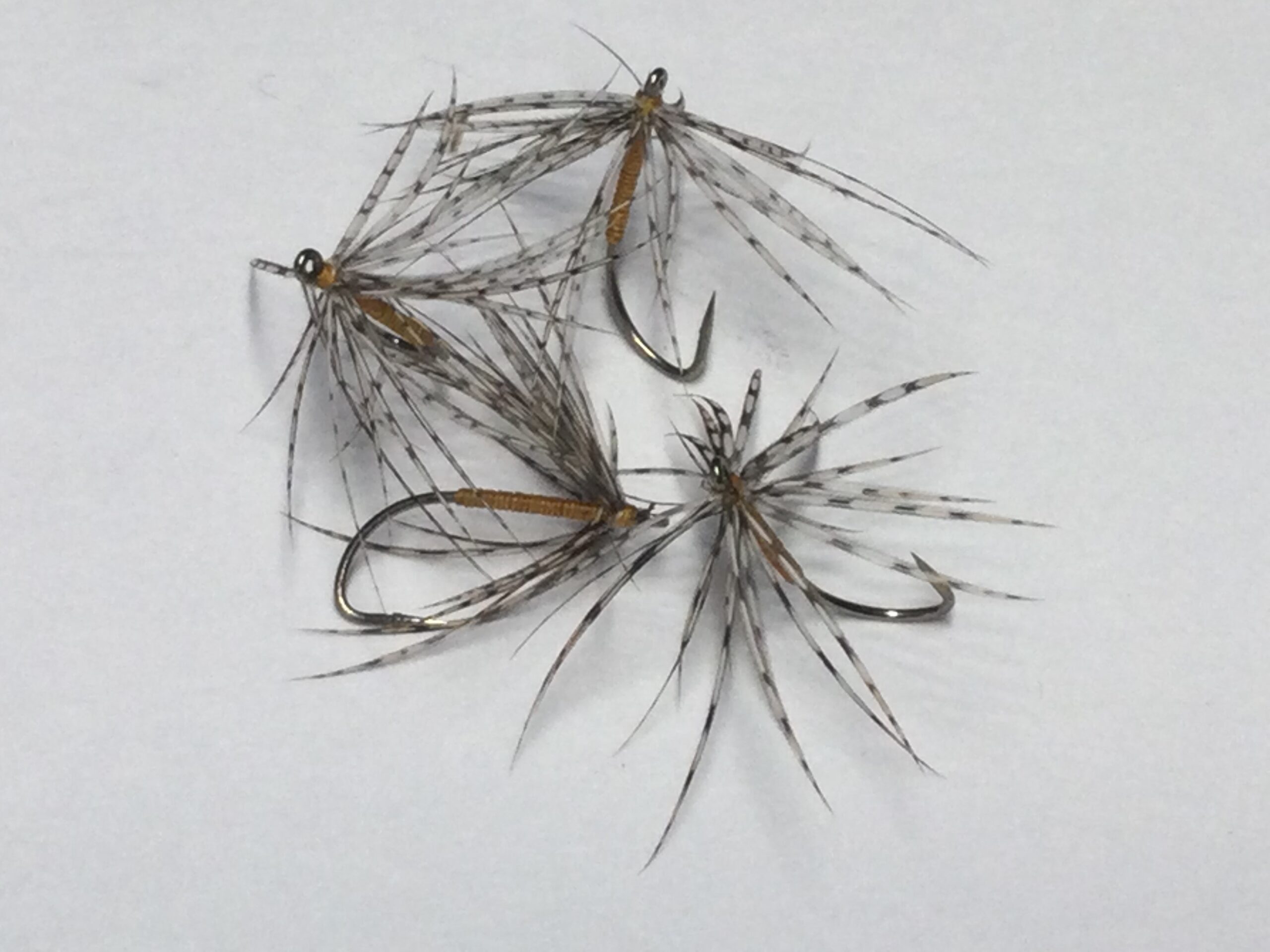 Fishing North Country spiders Bradford City Angling Association