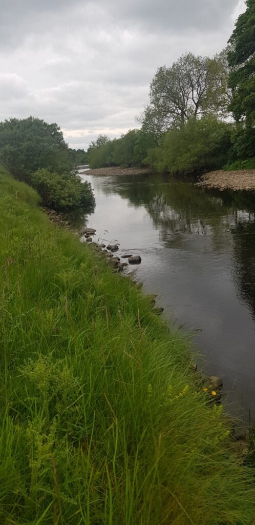 River Ure at Worton