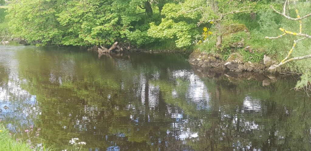 River Wharfe at Buckden