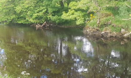 Bailiff report from Rivers Wharfe and Ure – May 2022