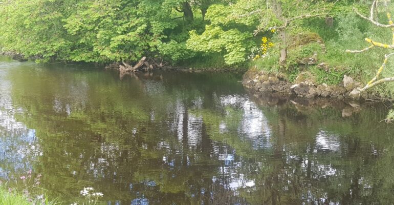 Bailiff report from Rivers Wharfe and Ure – May 2022