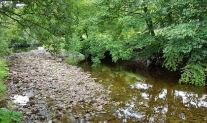 How have the BCAA waters in the Dales been fishing in the hot weather?