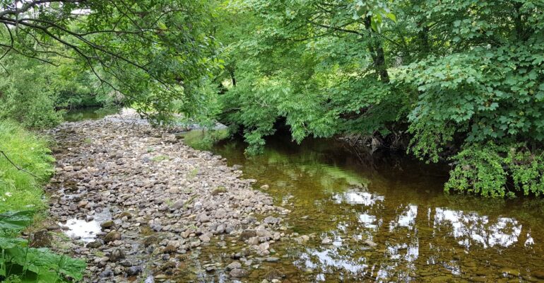 How have the BCAA waters in the Dales been fishing in the hot weather?