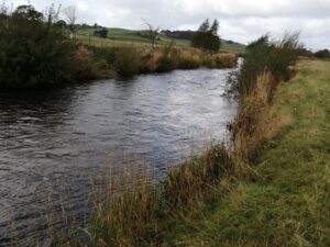 River Aire at Inghey