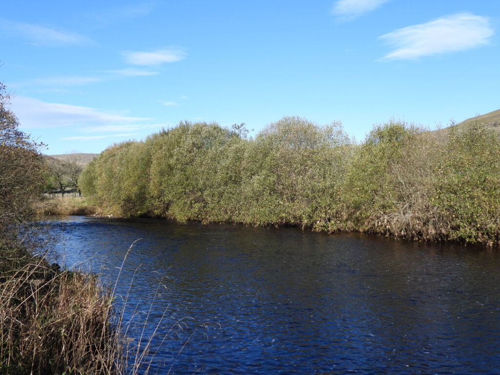 River Wharfe below Buckden bridge.