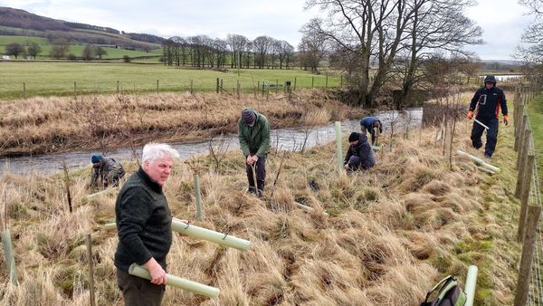 Planting trees beside a river